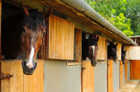 free Hundleton stable construction quotes